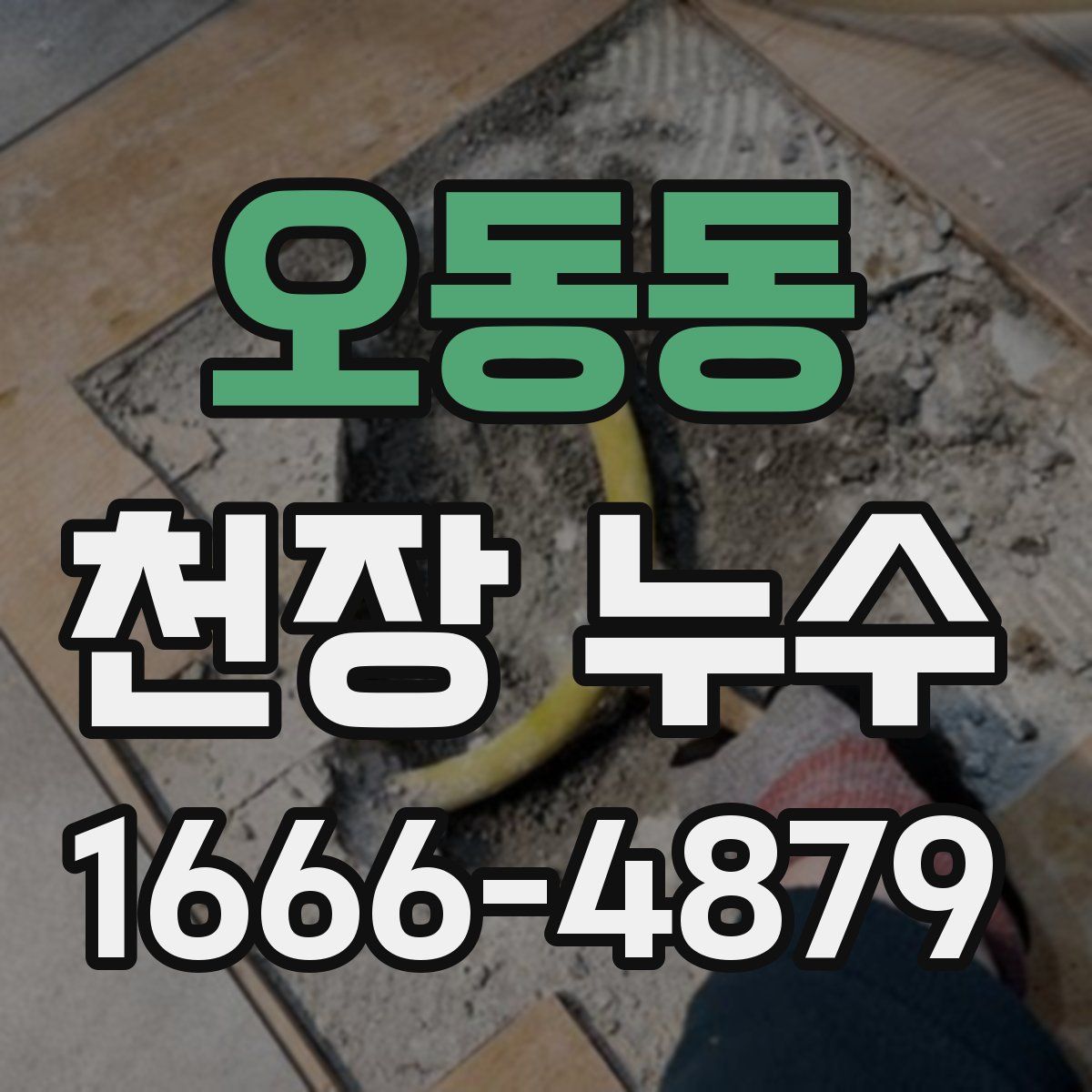 오동동 천장 누수