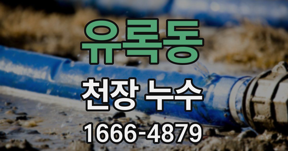 유록동 천장 누수