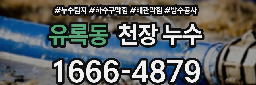 유록동 천장 누수