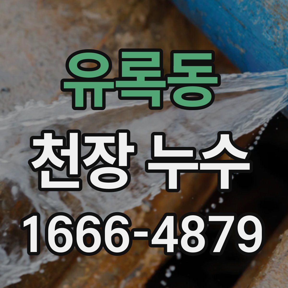 유록동 천장 누수