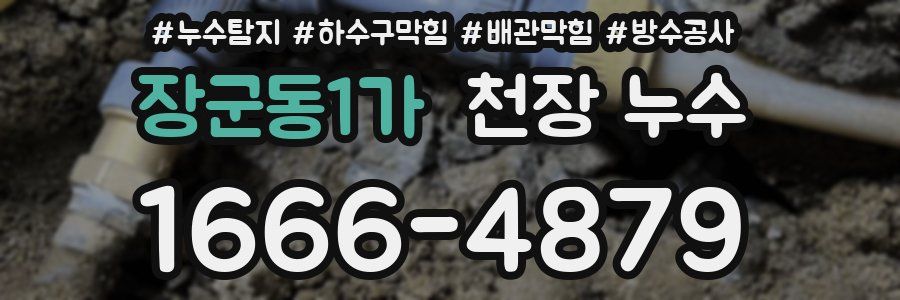 장군동1가 천장 누수