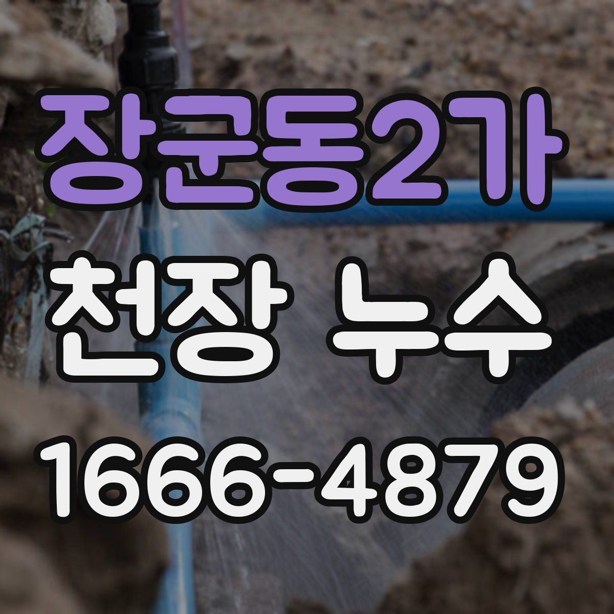 장군동2가 천장 누수