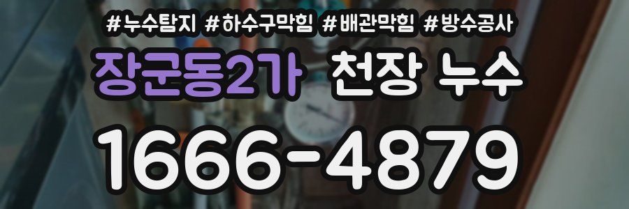 장군동2가 천장 누수