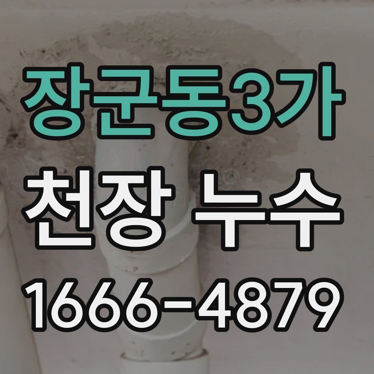 장군동3가 천장 누수