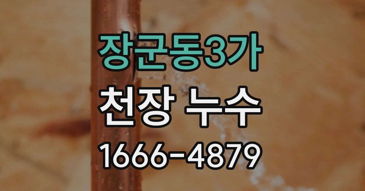 장군동3가 천장 누수
