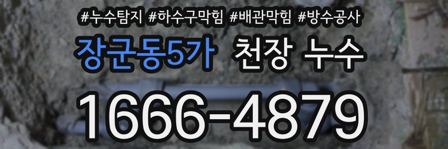장군동5가 천장 누수