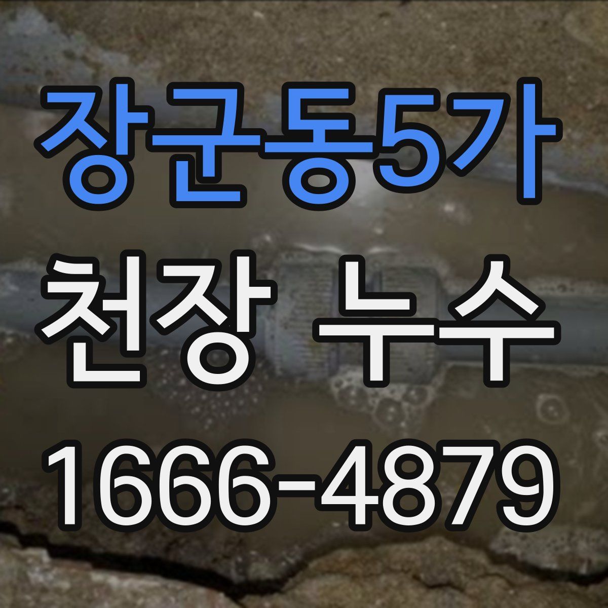 장군동5가 천장 누수