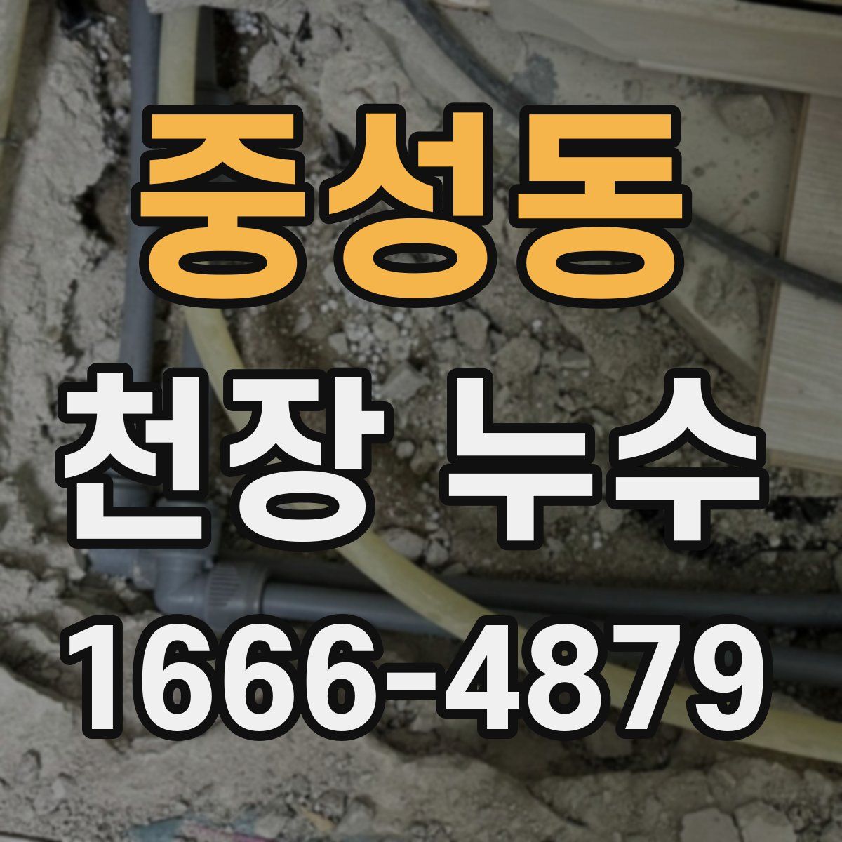 중성동 천장 누수