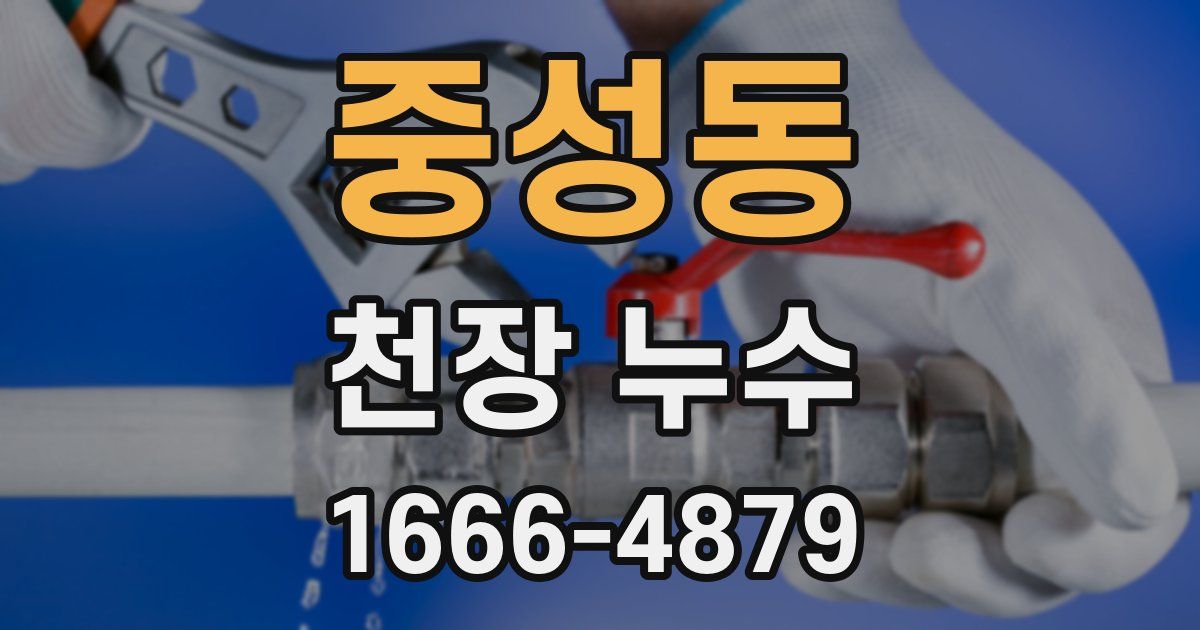 중성동 천장 누수