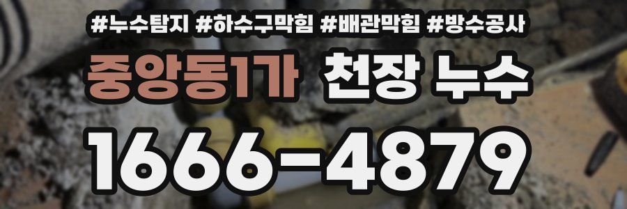 중앙동1가 천장 누수