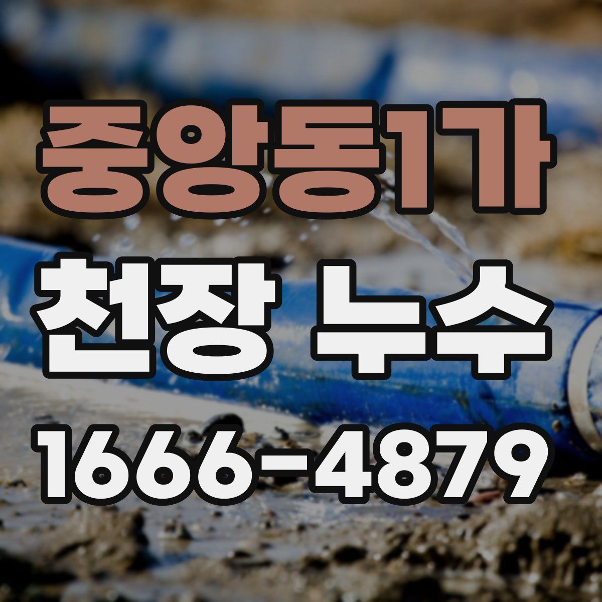 중앙동1가 천장 누수