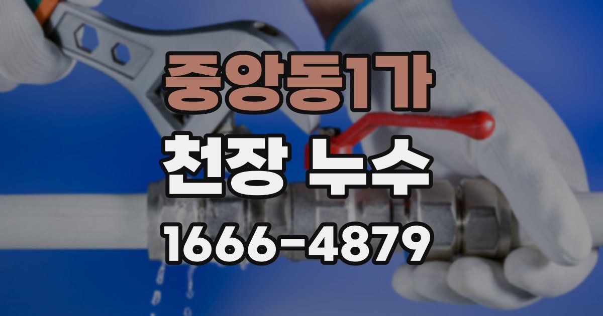 중앙동1가 천장 누수