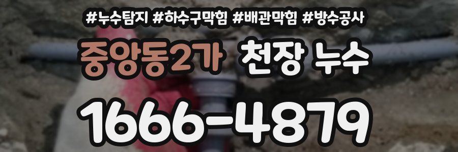 중앙동2가 천장 누수