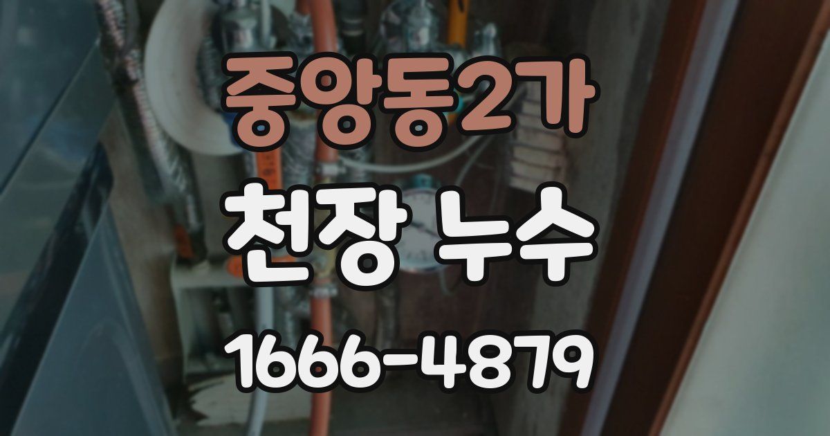 중앙동2가 천장 누수