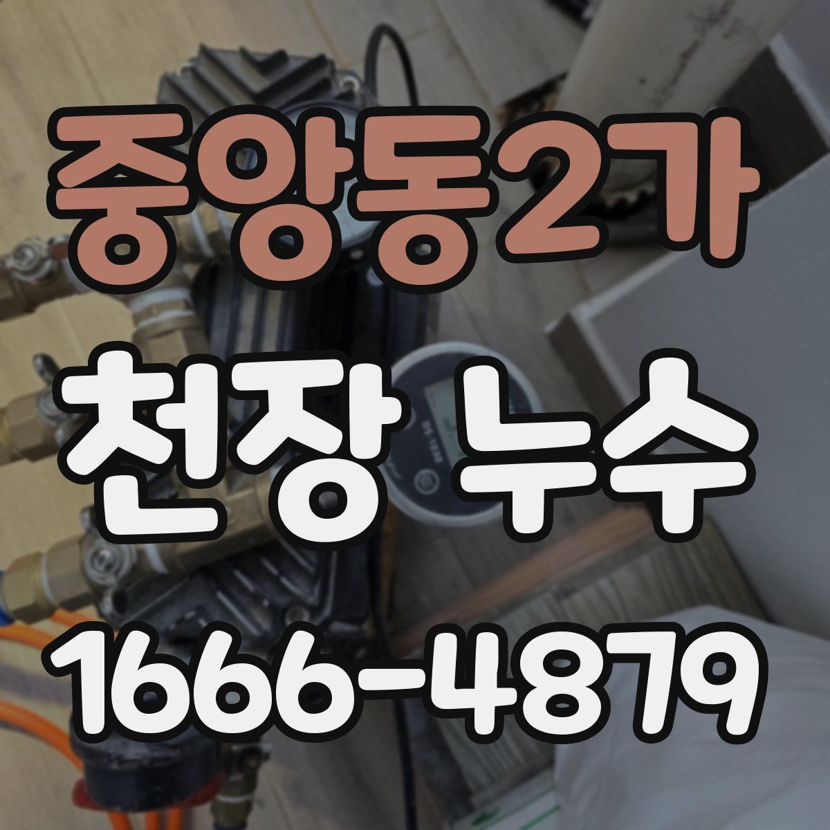 중앙동2가 천장 누수
