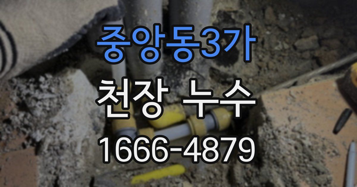 중앙동3가 천장 누수