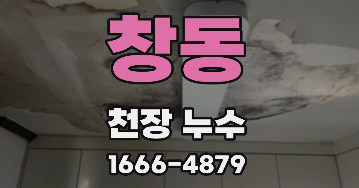 창동 천장 누수