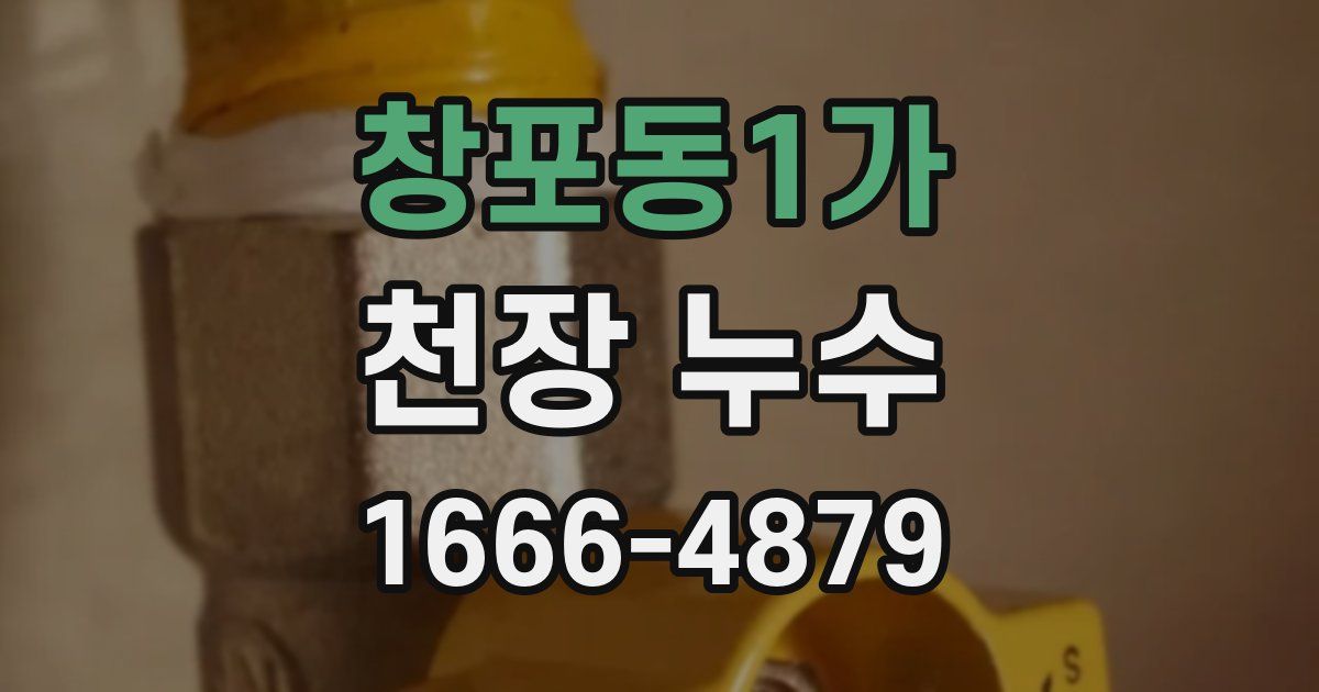 창포동1가 천장 누수