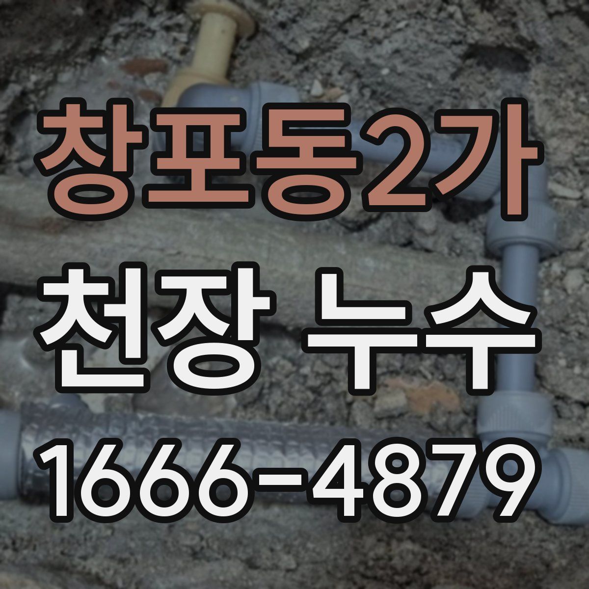 창포동2가 천장 누수