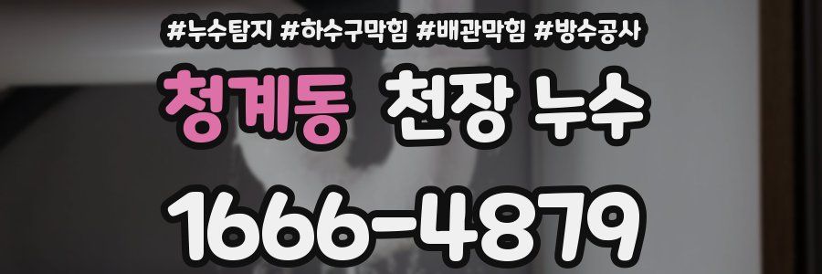 청계동 천장 누수
