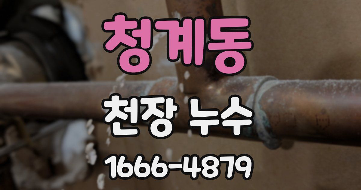 청계동 천장 누수