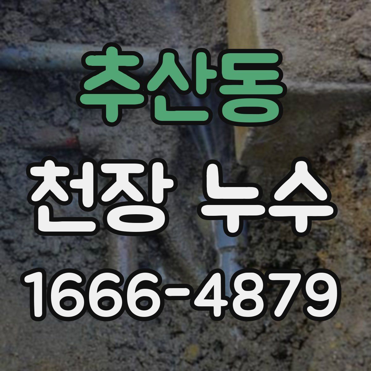 추산동 천장 누수
