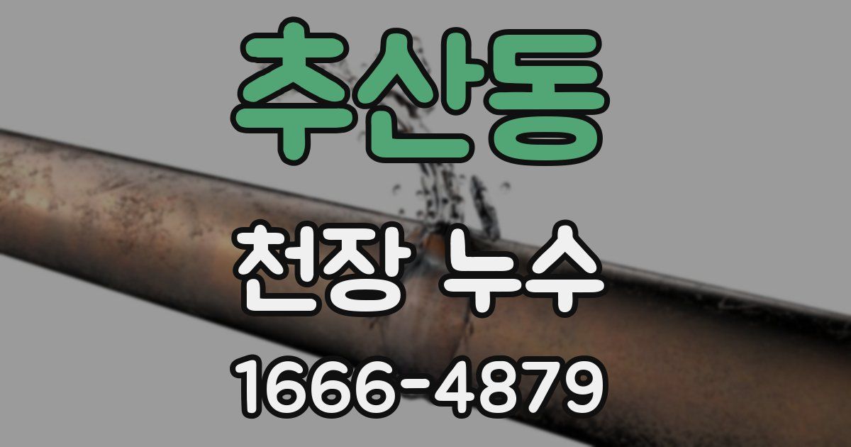 추산동 천장 누수