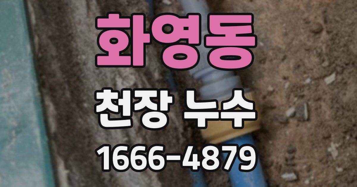 화영동 천장 누수