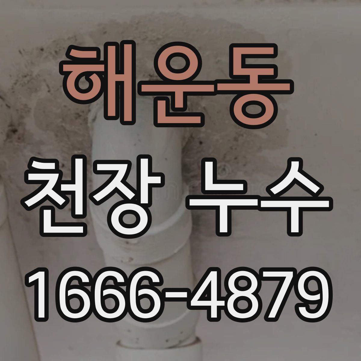 해운동 천장 누수