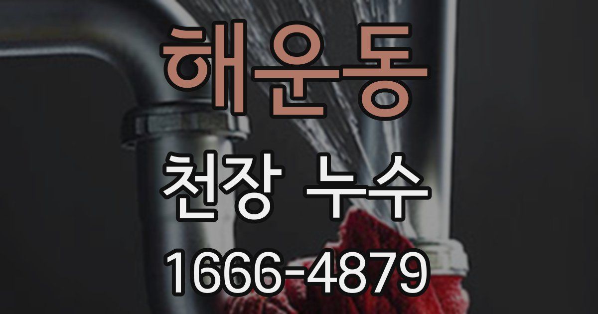 해운동 천장 누수