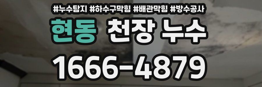 현동 천장 누수