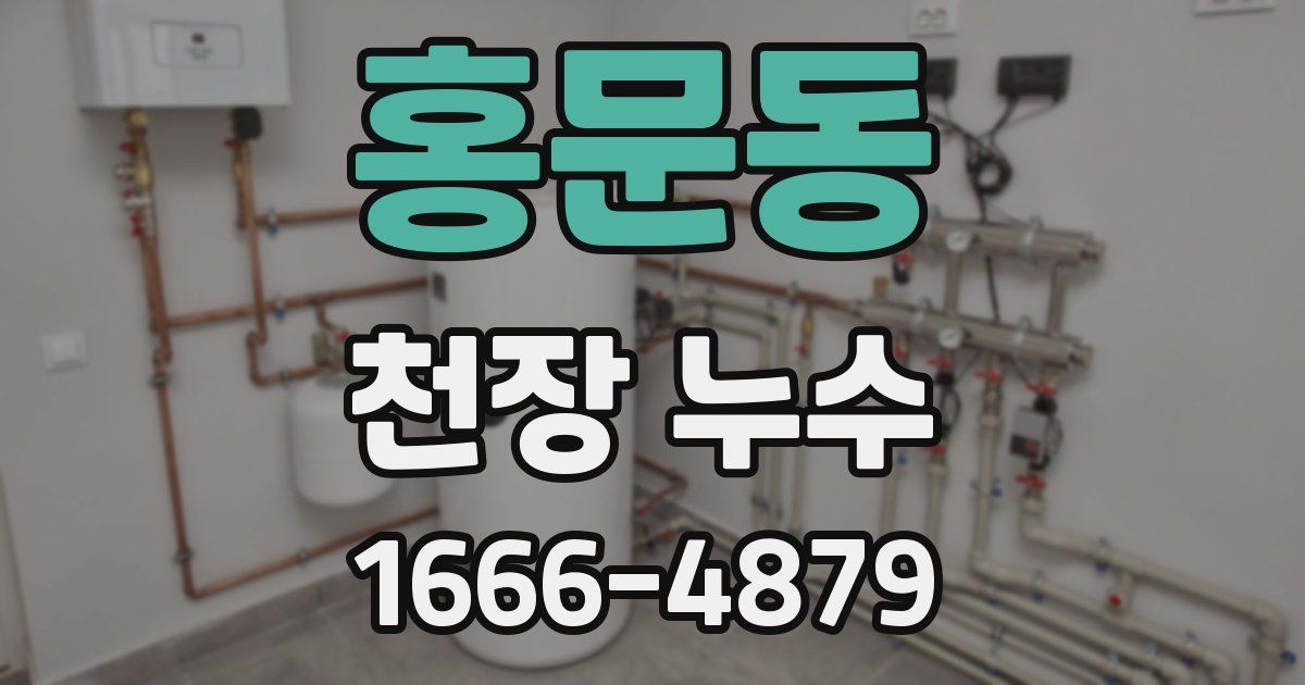 홍문동 천장 누수