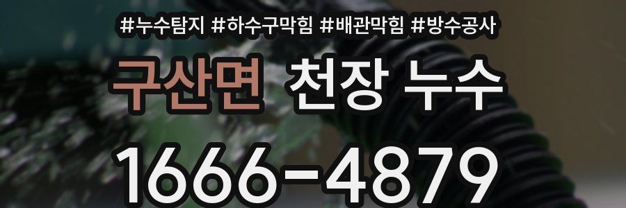구산면 천장 누수