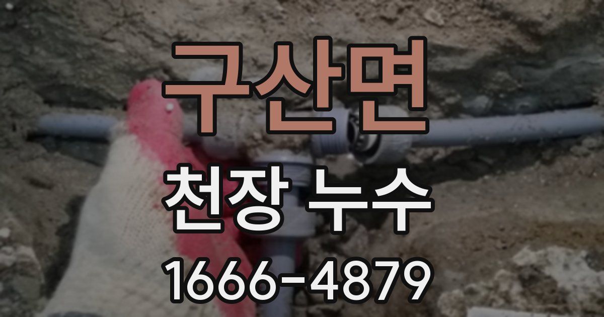 구산면 천장 누수