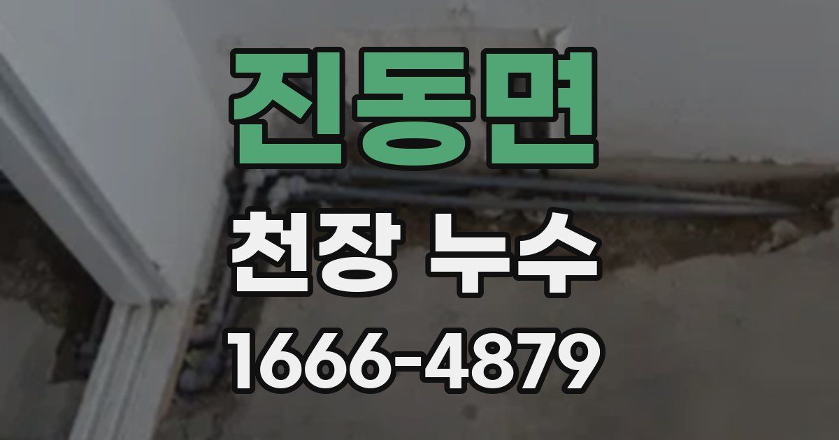 진동면 천장 누수