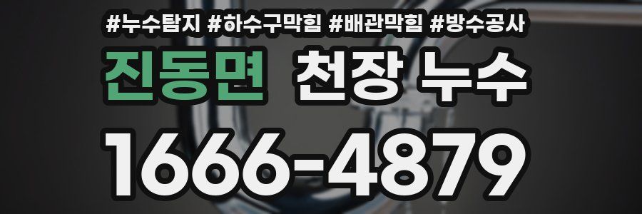 진동면 천장 누수