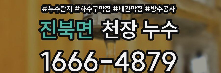 진북면 천장 누수