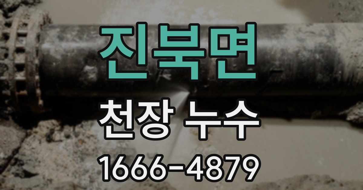 진북면 천장 누수