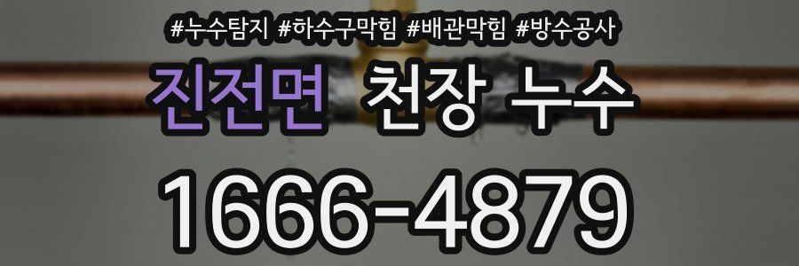 진전면 천장 누수