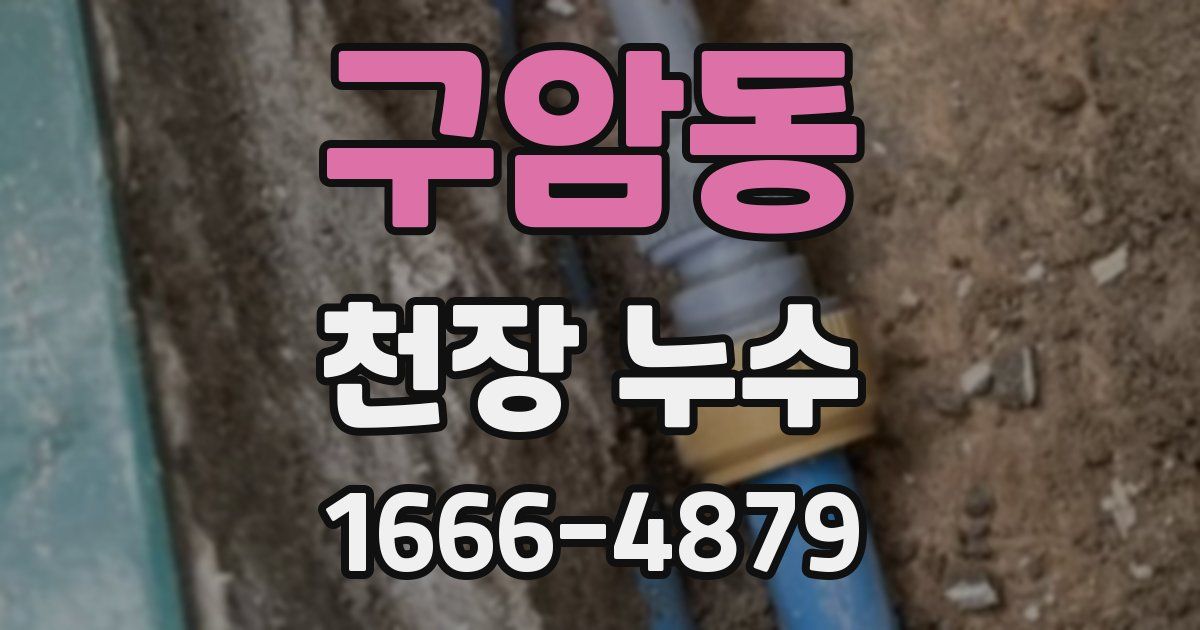 구암동 천장 누수