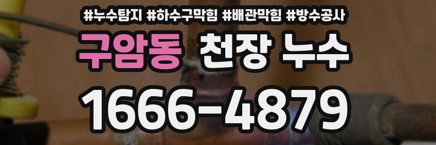 구암동 천장 누수