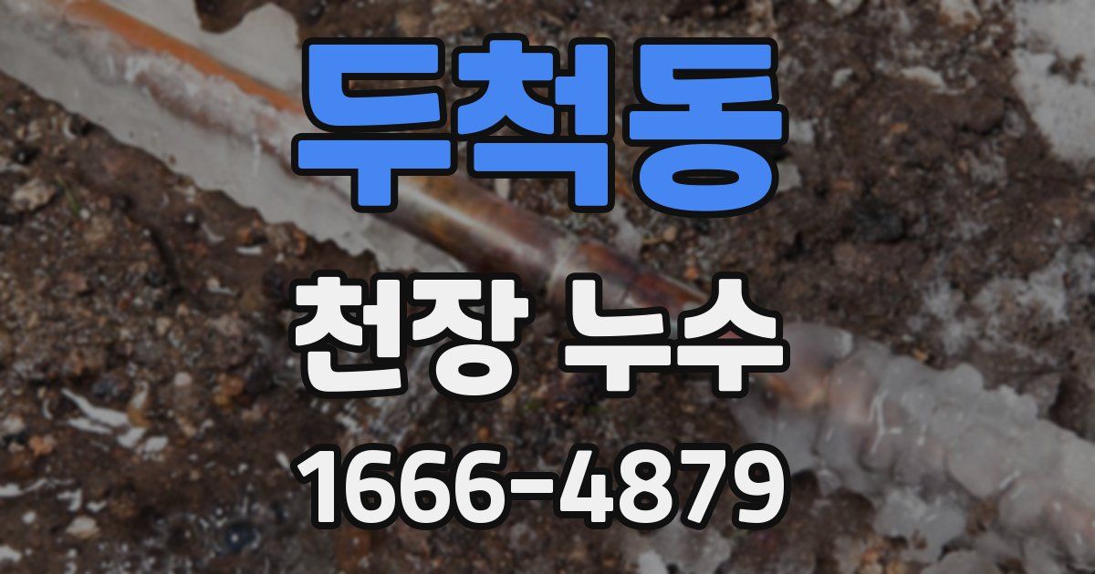 두척동 천장 누수
