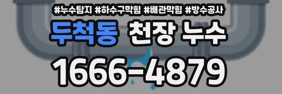두척동 천장 누수