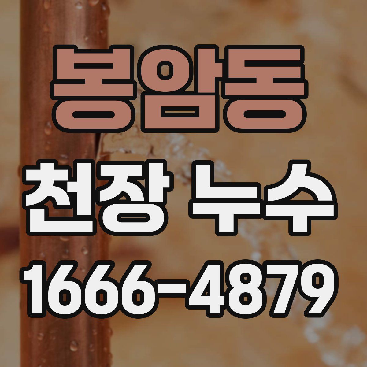 봉암동 천장 누수