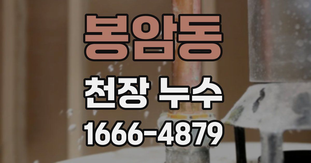 봉암동 천장 누수
