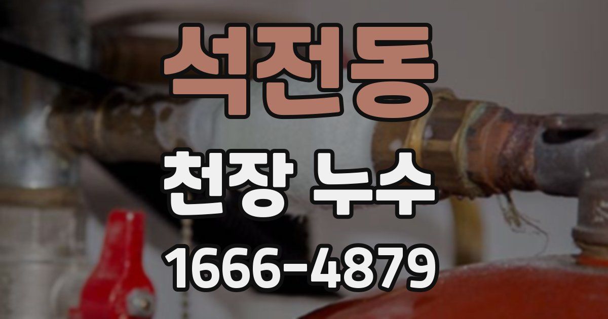석전동 천장 누수