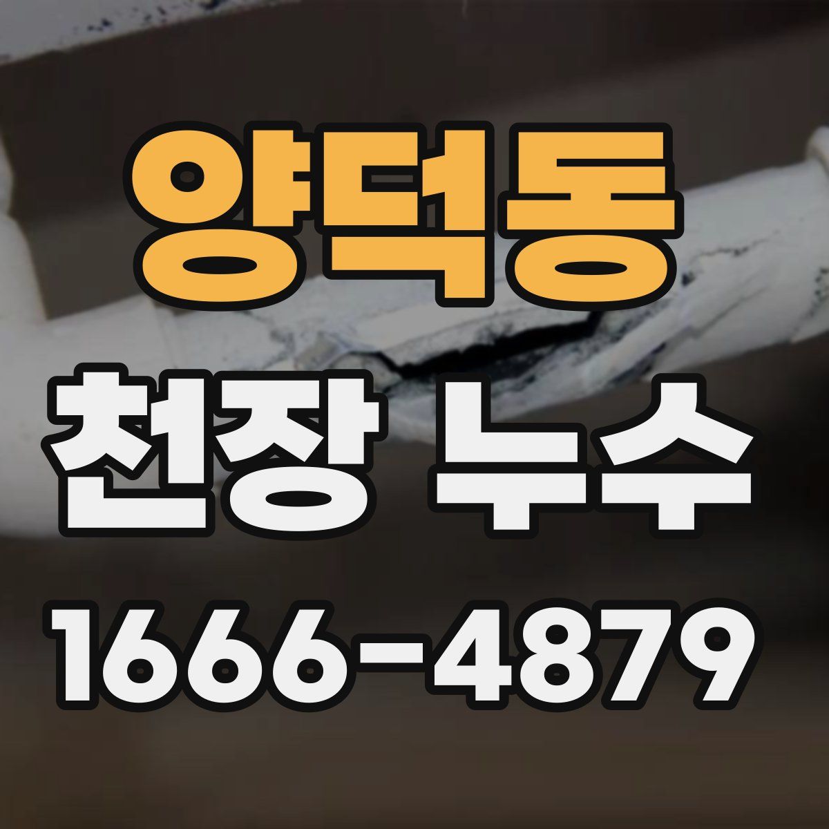 양덕동 천장 누수