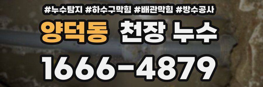 양덕동 천장 누수
