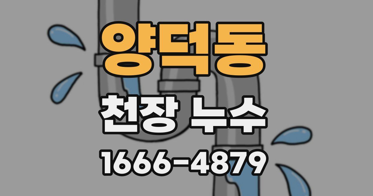 양덕동 천장 누수
