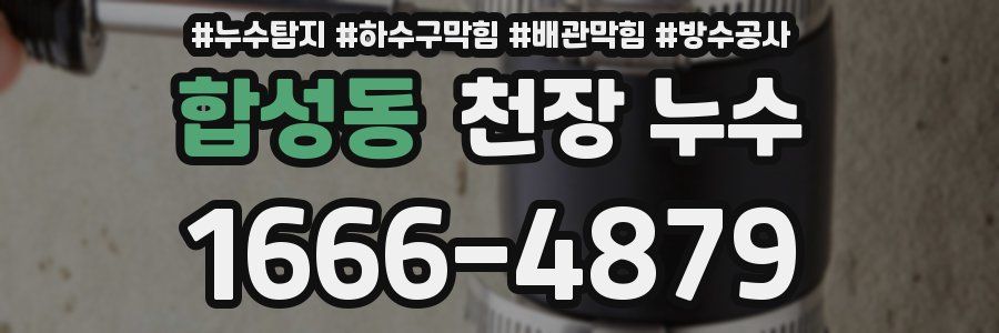합성동 천장 누수